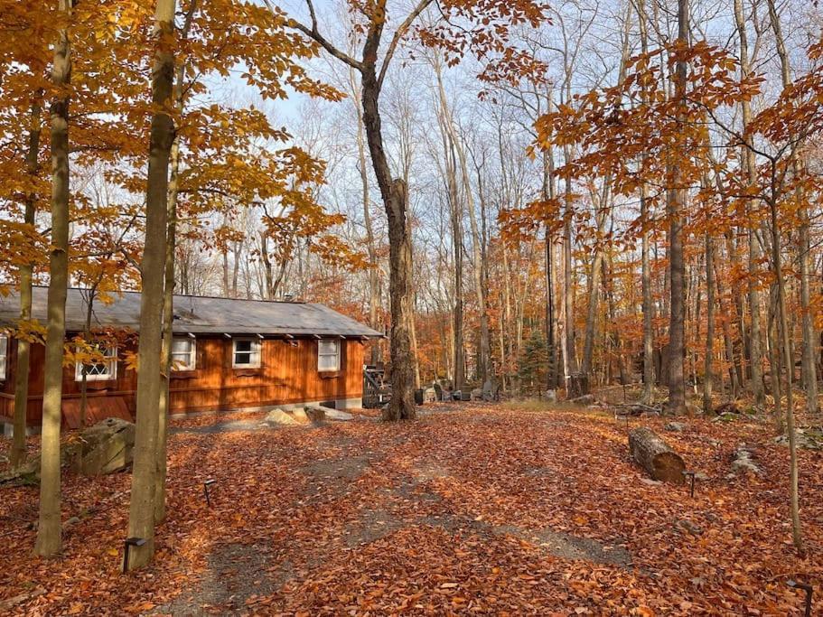Stylish And Cozy Cabin, Walking Distance To Big Bass Lake Gouldsboro Bagian luar foto